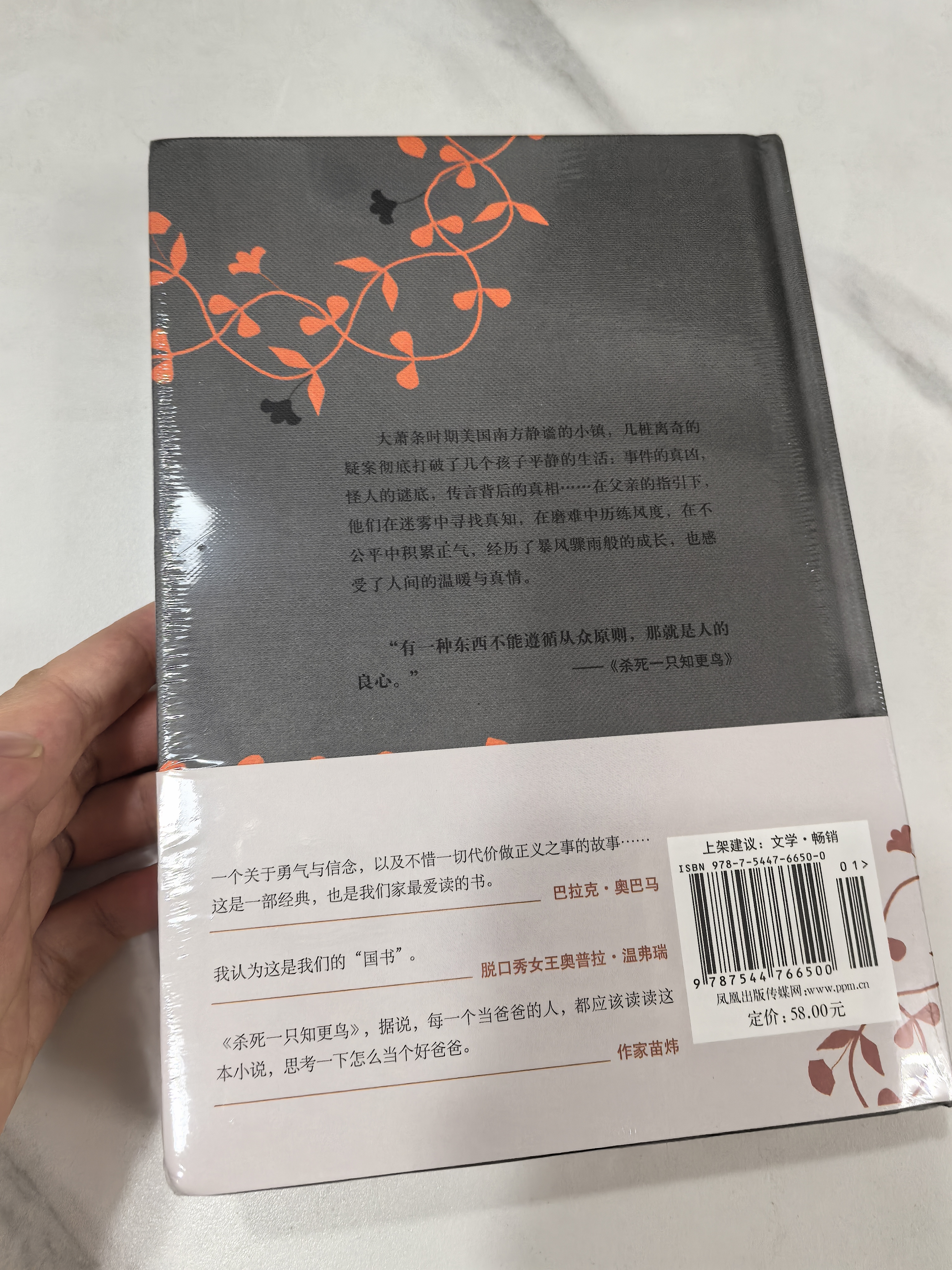 杀死一只知更鸟（新）（豆瓣9.3，关于勇气与正义的成长教科书，影响全球5000万家庭的“教养宝典”，奥巴马、贝克汉姆、奥普拉鼎力推荐） [To Kill a Mockingbird]  实拍图