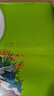 金福乔府大院 有机五常大米 5斤 当季新米  五优稻四号 实拍图