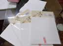 晨光（M&G）文具16K双线学生信稿纸文稿纸草稿纸练习本子 3本APYKF264高中生学习神器 实拍图