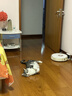 红狗营养膏120g*2支猫咪狗狗宠物营养补充剂幼猫幼犬增强免疫力维生素 实拍图