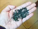 一杯香茶叶高山云雾绿茶500g2026新茶明前日照足礼盒装自己喝散装茗茶 实拍图