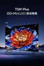 TCL电视 55T5M Plus 55英寸 QD-Mini LED控光 QLED量子点 WiFi6 超薄 电视2026新款 实拍图