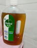 滴露（Dettol）消毒液洗衣衣物消毒水750mL 除螨杀菌混洗无忧 家居地板消毒 非84 实拍图