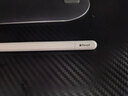 Apple/苹果 Pencil(USB-C) 磁吸触控笔手写笔苹果笔电容笔iPad笔 适用iPad(A16)/mini/Pro/Air 实拍图