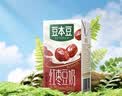 豆本豆唯甄红枣豆奶 250ml*24盒/箱2.3g植物蛋白饮料儿童营养学生早餐奶 实拍图