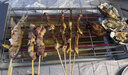 小熊（Bear）电烤炉 烧烤炉 电烧烤炉家用 电烤串机户外烧烤架烤肉烤串一体烤肉炉电烤架室内无烟电炉烤肠机 烟紫灰【接油盘+烤网】DKL-L20L5 1层 实拍图