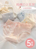 莫代尔内裤女纯棉100%全棉夏季薄款抗菌少女学生高弹透气中腰三角短裤衩 四叶小花纯棉系列 5条 L 【推荐体重95-125斤】 实拍图