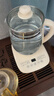 九阳（Joyoung）0胶水养生壶 1.5L煮茶器 玻璃花茶壶 316不锈钢烧水壶电热水壶 WY301 实拍图