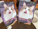 网易严选全价冻干双拼紫金烘焙猫粮 成幼猫高鲜肉护肠胃1.5kg*2 实拍图