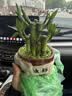 茶几客厅家用小户型桌子简易出租屋用简约卧室创意实木桌腿小茶桌 【双层款】80CM 暖白色 实拍图