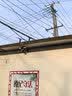 防术4g太阳能摄像头户外终身免流无需连wifi免插电无电无网监控器家用360度全景无死角带夜视高清农村 实拍图