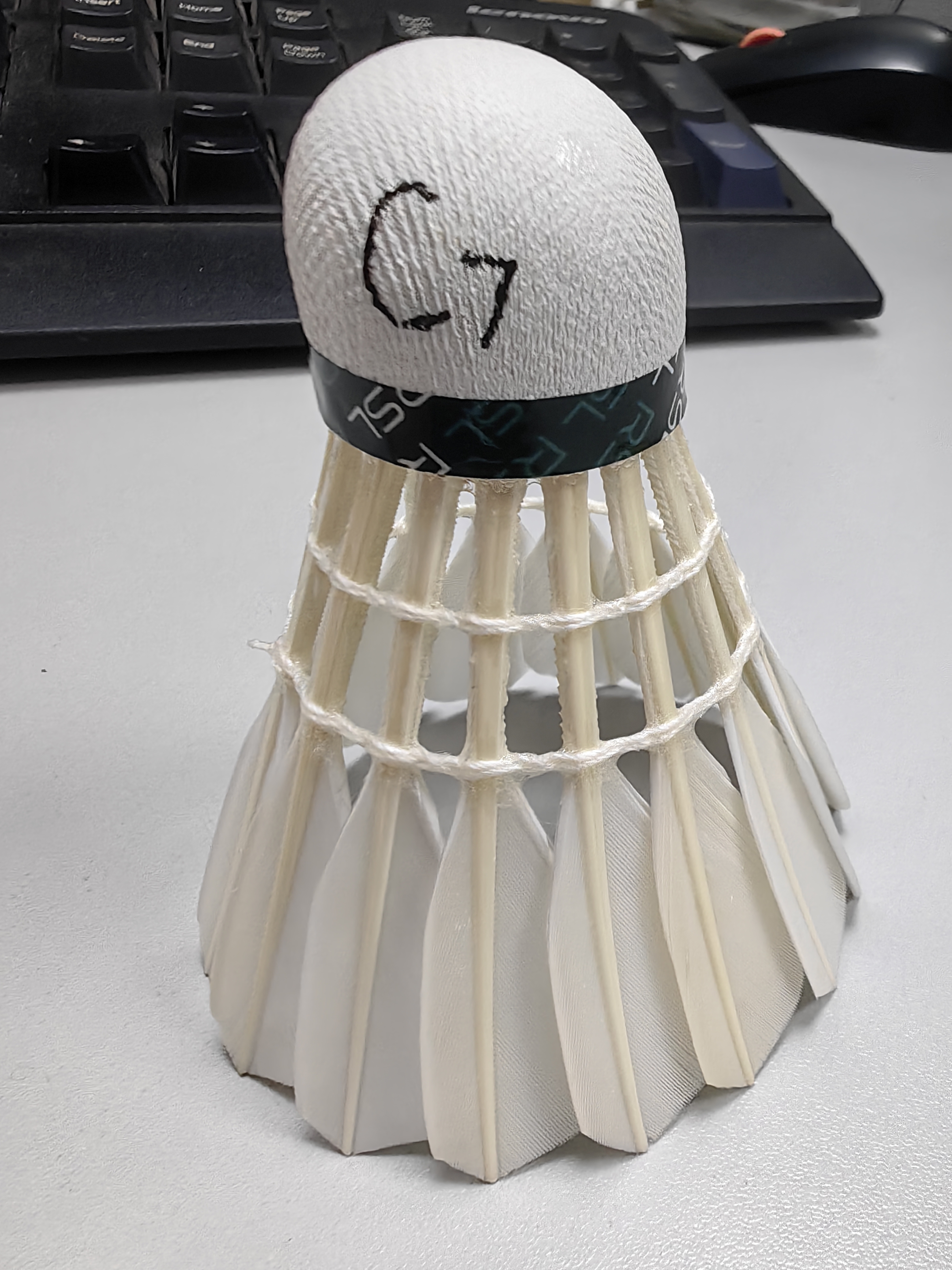 亚狮龙羽毛球训练比赛稳定耐打鸭毛金冠C7号77速12只装/桶 实拍图