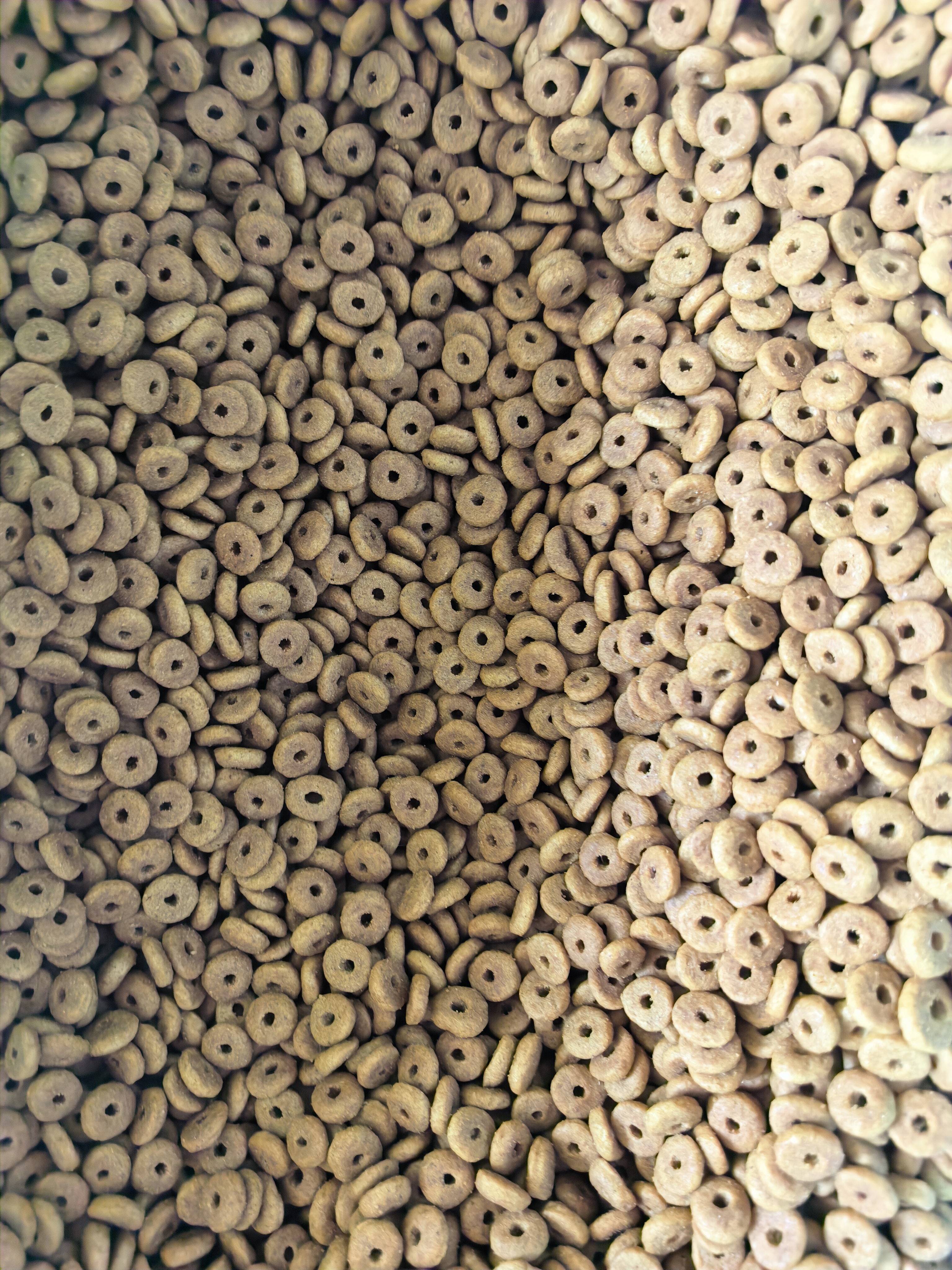 皇家猫粮 成猫猫粮 营养均衡 F32 通用粮 1-7岁 15KG 实拍图