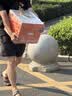 苏泊尔（SUPOR）砂锅陶瓷煲炖汤烧汤锅大容量煮粥煲仔饭陶瓷锅燃气专用 适用7-10人 8L 实拍图