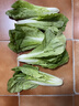 现摘毛白菜 新鲜脆嫩小白菜 露天种植 当季时令青菜包邮 安徽小白菜2斤（净重1.6斤） 实拍图