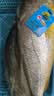 三都港 冷冻黄花鱼700g/2条装 宁德大黄鱼 深海鱼 生鲜 鱼类 海鲜水产 实拍图