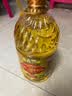 滇雪高原一级菜籽油5L非转基因高原优质油菜籽物理压榨 实拍图