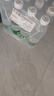 江南贡泉天然苏打水450ml*24瓶  弱碱性无糖无汽无添加 新老包装随机发货 实拍图