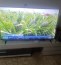 飞利浦电视55英寸4K超高清智能一级能效144Hz高刷护眼 家用液晶平板彩色电视机国家补贴55PUF7791/T3 实拍图