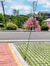 户外帐篷防风绳露营天幕滑轮拉绳固定拉紧器快速搭建加粗拉力绳 【4mm粗/4m长】滑轮卡扣绳-卡其4根 实拍图