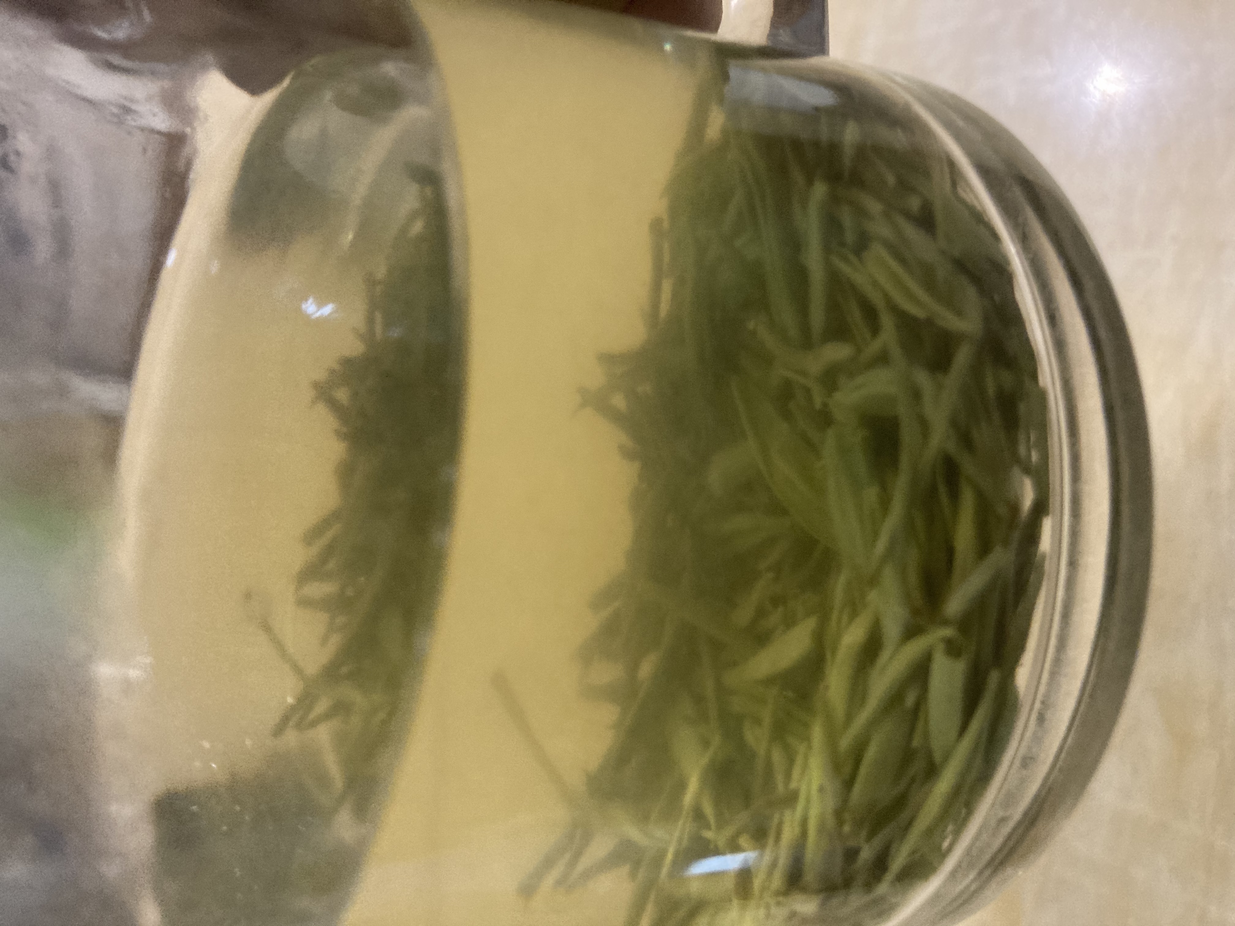 乐品乐茶明前特级毛尖绿茶2026新茶嫩芽春茶茶叶礼盒装250g伴手礼送长辈 实拍图