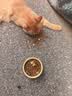 麦富迪猫粮 超肉粒冻干双拼成猫粮美毛护肠胃 三文鱼2kg 实拍图
