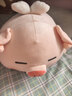 名创优品（MINISO）小猪B-BO翅膀款趴毛绒公仔玩具玩偶抱枕娃娃靠枕生日礼物女 实拍图