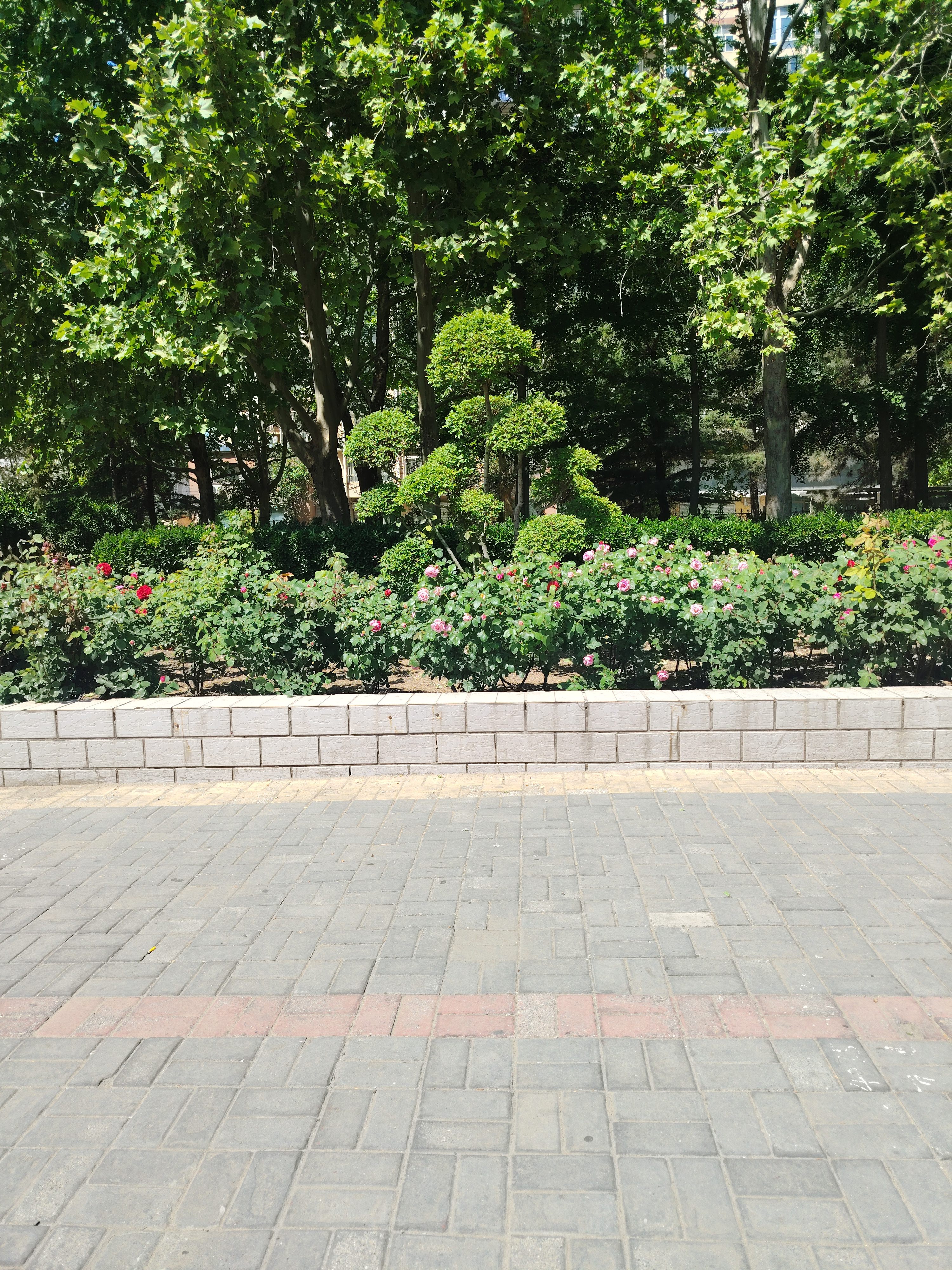 苏菲弹力贴身日用卫生巾23cm34片瞬吸透气姨妈巾京东自营官方旗舰 实拍图