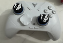 飞智冰原狼4多模版无线游戏手柄 类xbox 力调节摇杆双切扳机 switch电脑PC手机steam体感NS 仁王3 实拍图