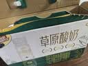 伊利【新鲜日期】草原酸奶巴氏杀菌原味酸奶230g*10瓶/箱 礼盒装 实拍图