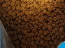 麦富迪猫粮 超肉粒冻干双拼成猫粮美毛护肠三文鱼10kg/20斤【宠物金选】 实拍图