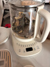 小熊（Bear）养生壶 煮茶壶 恒温水壶 智能保温烧水一体电热水壶花茶壶 316L不锈钢 1.5L YSH-J15H8 实拍图