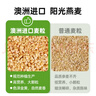 蒙牛特仑苏低脂纯牛奶250ml×16盒 健身减脂 送礼优选礼盒装 实拍图