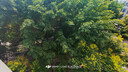 大疆（DJI）Osmo Action 5 Pro 超旗舰画质运动相机 户外摩托骑行潜水徒步vlog便携式4K摄像机 Osmo Action 5 Pro 标准套装 47GB内置存储 标配（不含随心换） 实拍图
