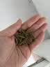 七春2026绿茶信阳毛尖新茶河南特产小罐装冷泡茶品鉴茶叶30g 实拍图
