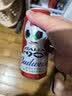 百威【梅西同款】经典红罐啤酒450mL 18罐整箱装喜宴 实拍图