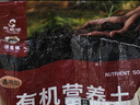 思威博营养土种菜土花土通用型有机种花养花土壤种植土泥土绿植盆栽泥炭 100斤（2包50斤分开发货） 实拍图