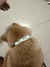 HELLOJOY猫咪驱虫项圈狗狗猫宠物狗猫圈除跳蚤猫猫幼猫小猫小狗体外去跳蚤 实拍图