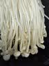有机金针菇150g 实拍图