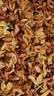 艺福堂花草茶 精选桂花50g 金桂新干花可熬酱 无熏硫食用养生泡酒搭红茶 实拍图