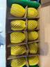 佳沛（zespri）新西兰阳光金果10个装单果重约103-114g 水果礼盒 猕猴桃 实拍图