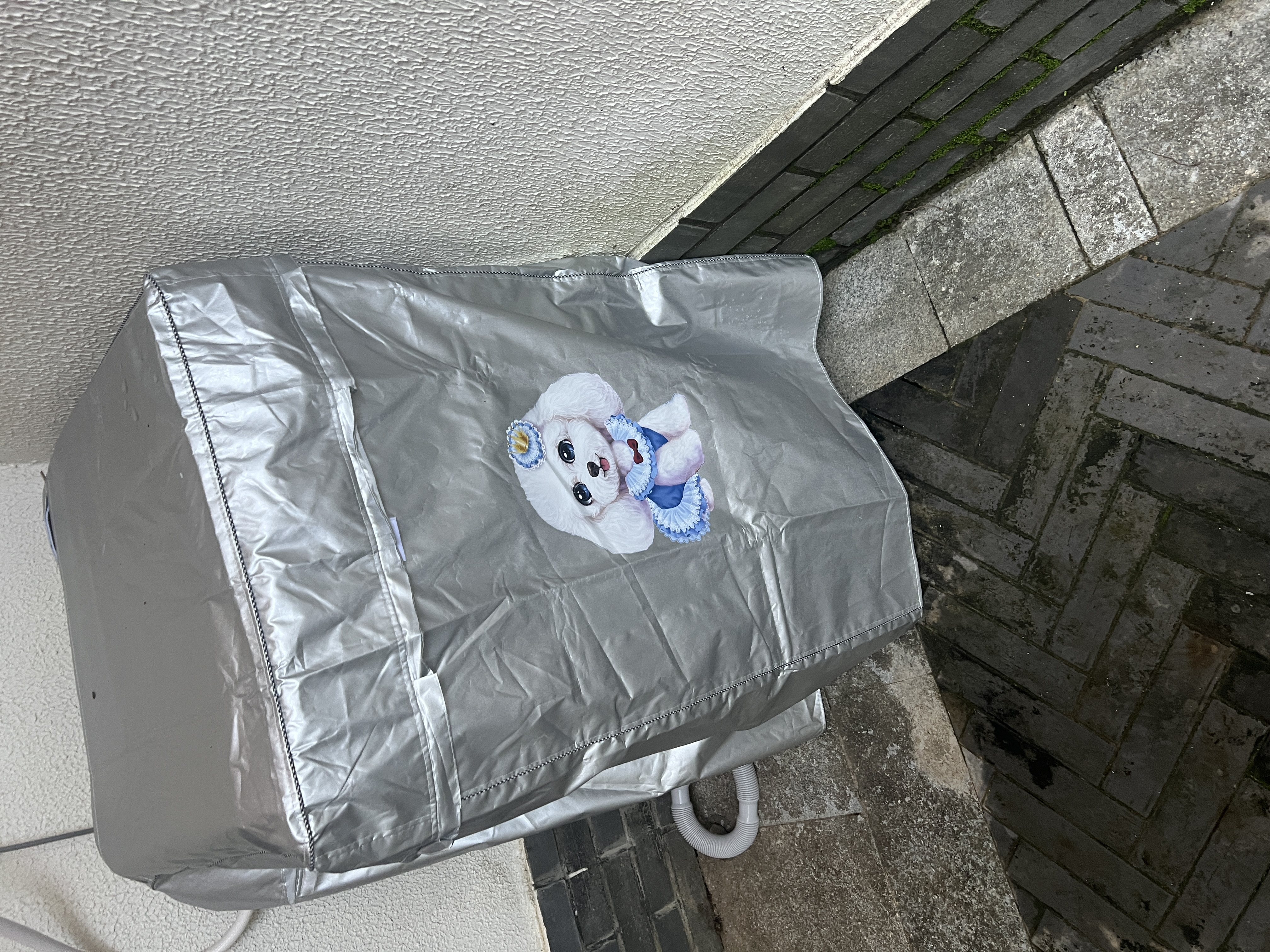 美的（Midea）家用微波炉20L大容量平板易清洁内胆【26年新款升级】 智能菜单高效速热 一键解冻 宝宝菜单 M22J 实拍图