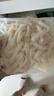 壮客 广西河粉220g*8袋 湿米粉老友粉速食粿条不干宽切鲜炒牛沙河粉面 实拍图