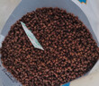 贡苑 特优级黑苦荞茶650g 四川大凉山实惠装黄金苦荞大麦养生香谷物茶 实拍图