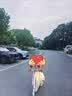 迪卡侬儿童双刹车系统两轮滑板车双重折叠车M900非电动款蓝/黄-5462106 实拍图