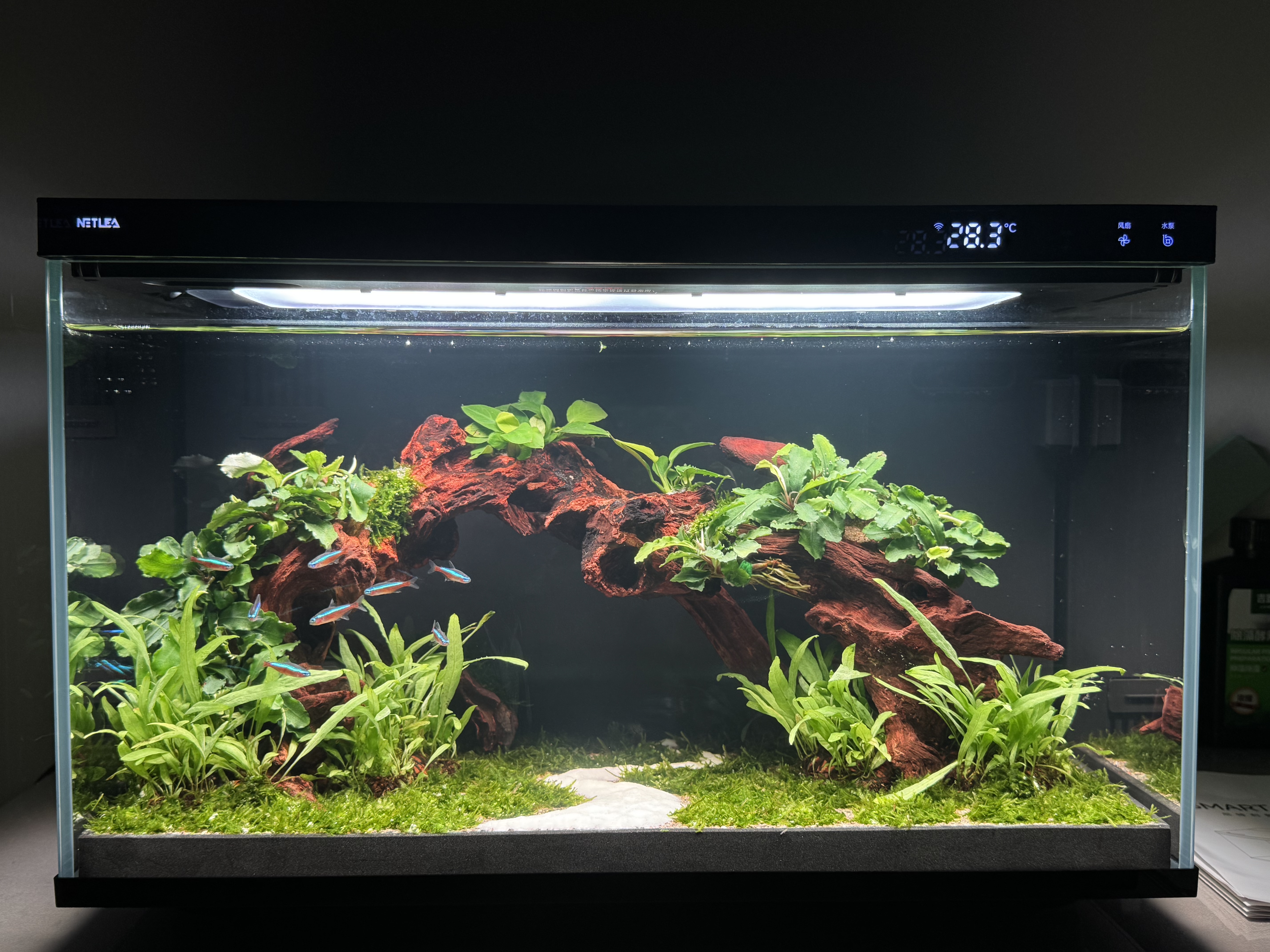 尼特利（NETLEA）滤材细菌屋鱼缸专用净水过滤材料水族养鱼纳米硝化细菌纤维环 微生物纤维环 M号（1L/包） 实拍图