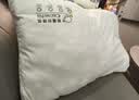 皇冠枕头护颈椎枕深度睡觉眠专用午睡抱靠枕五星级酒店成人枕芯一对装 实拍图