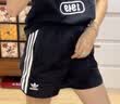 阿迪达斯（adidas）短裤夏季男户外休闲百搭短裤显瘦松紧腰梭织运动五分裤 黑/灰 3XL 实拍图