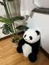 星密途大熊猫玩偶娃娃毛绒玩具陪睡觉抱枕超大号公仔儿童生日礼物送女生 花花5月龄坐款【50厘米】 七夕情人节礼物送女神朋友男孩成都熊猫纪念品正高级版 实拍图