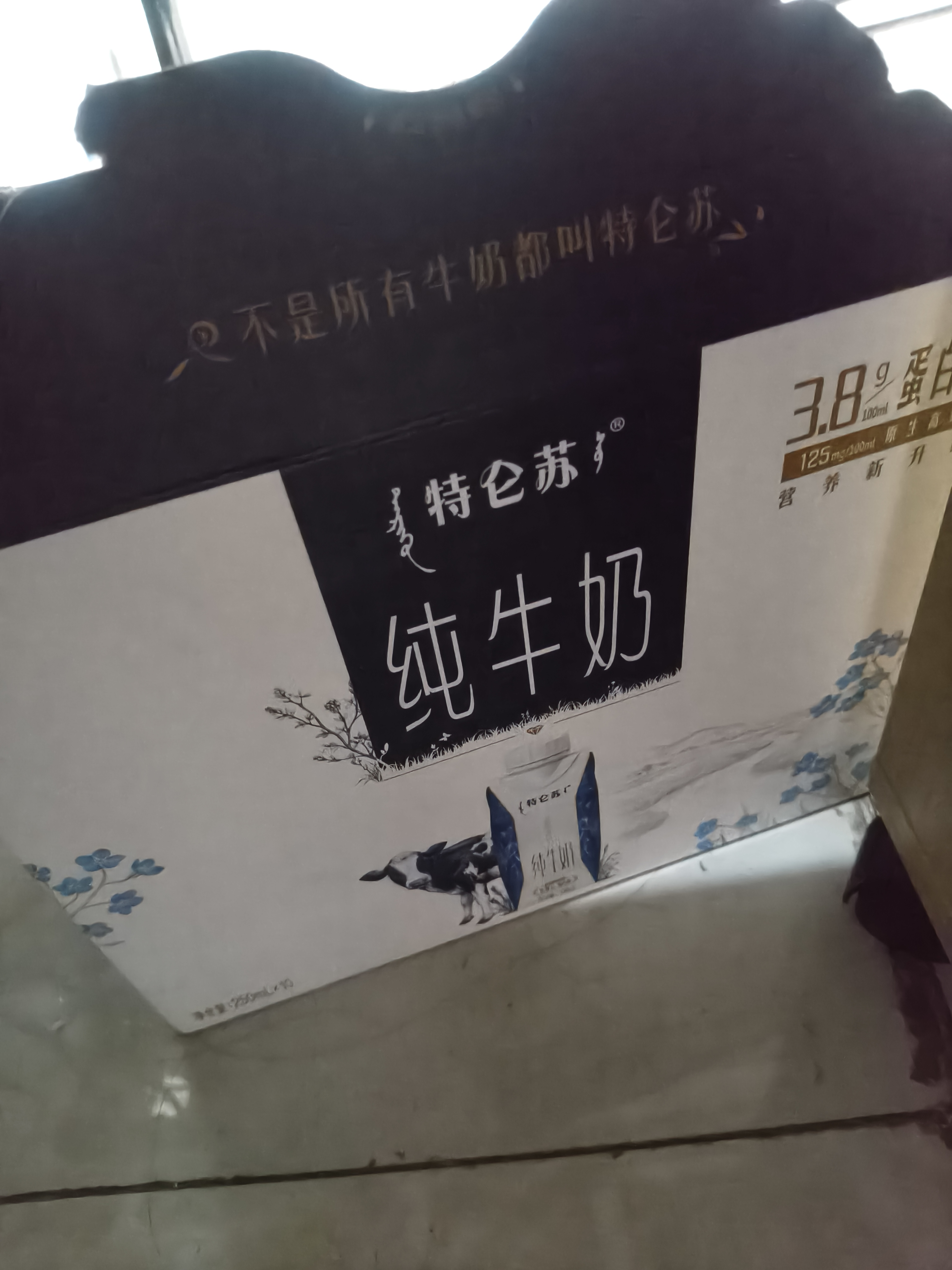 蒙牛特仑苏纯牛奶250ml*10盒 3.8g乳蛋白/100ml 精美送礼盒装送礼礼盒 实拍图